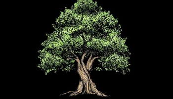 Living Hope Lakeport - Laconia