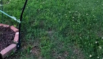 New Macedonia Baptist Church - Pocomoke City