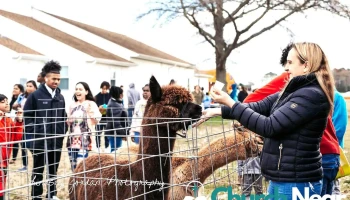 Nu-Lyfe Church - Salisbury Nu-Lyfe Church - Salisbury