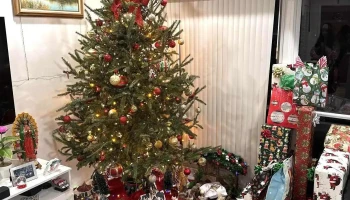 St Francis Polish National - Adelphi St Francis Polish National - Adelphi