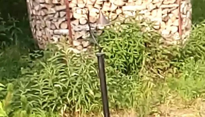 Birch Leaf Chapel -  Videos - Ester