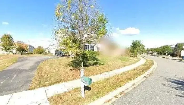 Collins R Dandridge -  Street View 360deg - Bear
