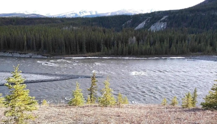 Denali Princess Wilderness Lodge -  Latest - Denali National Park and Preserve