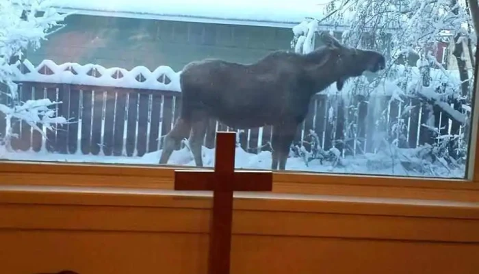Episcopal Diocese Of Alaska -  By Owner - Fairbanks