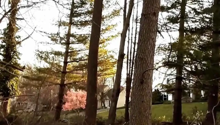 Everlasting Presbyterian Korean Church -  Videos - Newark