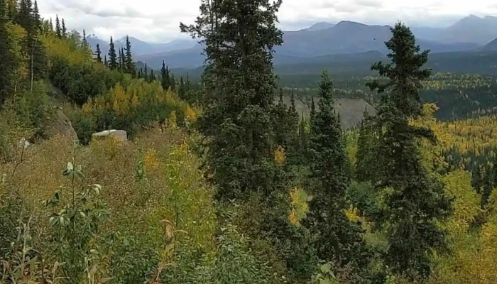 Grande Denali Lodge -  From Visitors - Denali National Park and Preserve