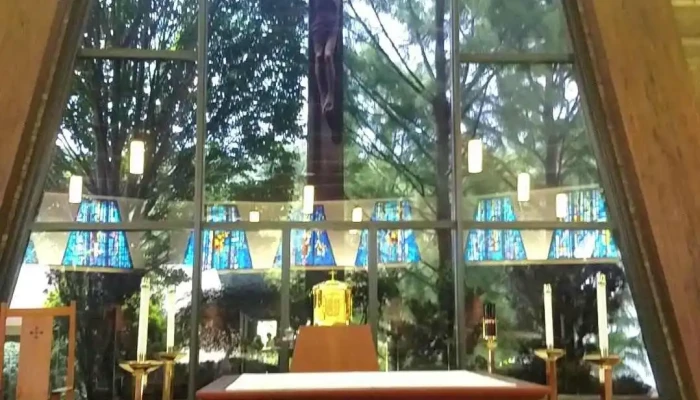 Holy Child Roman Catholic Church -  Videos - Wilmington