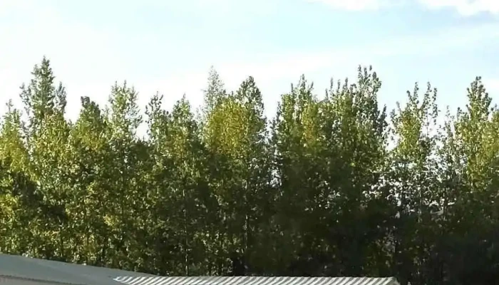 Kings Way Church Latest - Eagle River