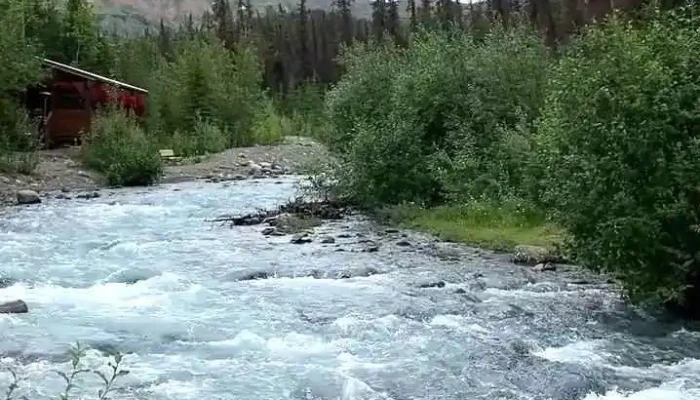 Mckinley Creekside Cabins Cafe Bakery Videos - Denali National Park and Preserve