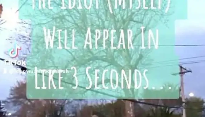 St Lukes Episcopal Church Videos - Seaford