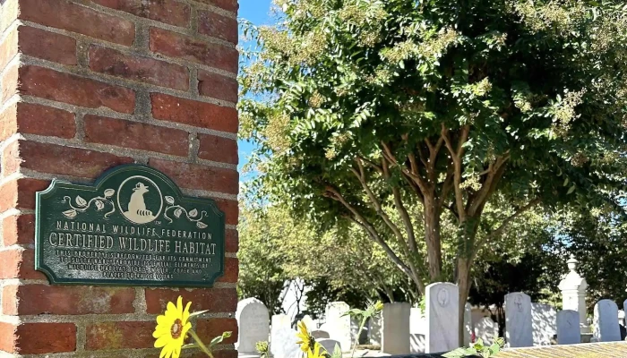 St Peters Episcopal Church Reviews - Lewes