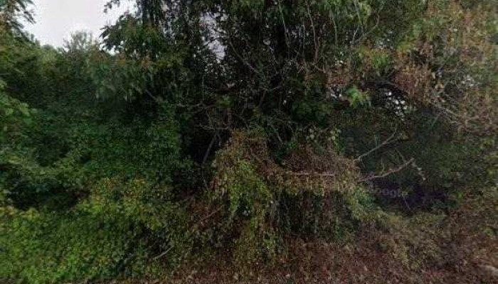 Trinity Community Church -  Street View 360deg - Hockessin